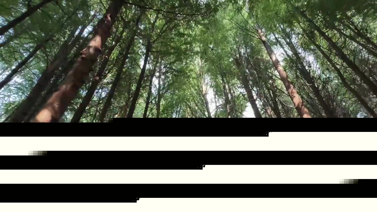 云南玉昆1-3落后连追两球扳平,终场前遭深圳新鹏城绝杀 云南玉昆1-3落后连追两球扳平,终场前遭深圳新鹏城绝杀