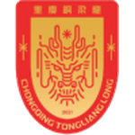 重庆铜梁龙